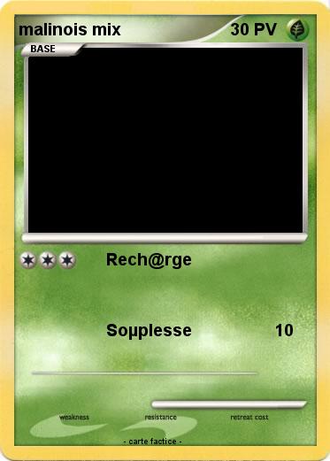 Pokemon malinois mix