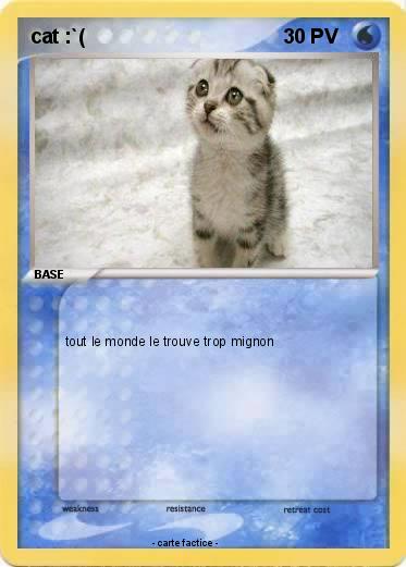 Pokemon cat :`(