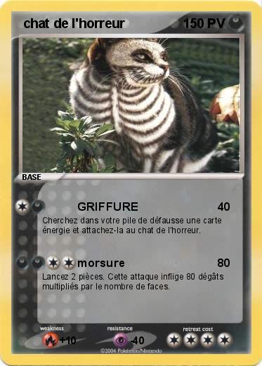 Pokemon  chat de l'horreur