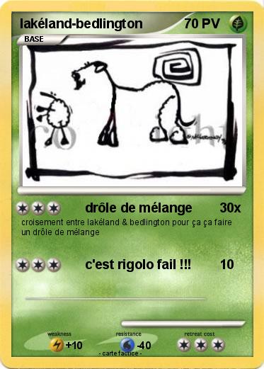 Pokemon lakéland-bedlington