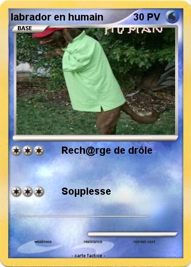Pokemon labrador en humain