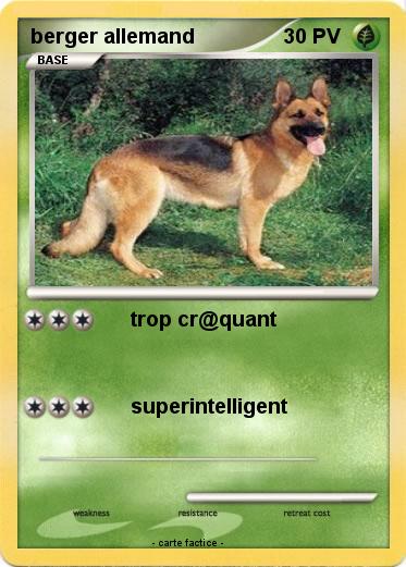 Pokemon berger allemand