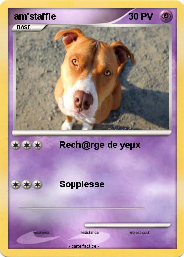 Pokemon am'staffie