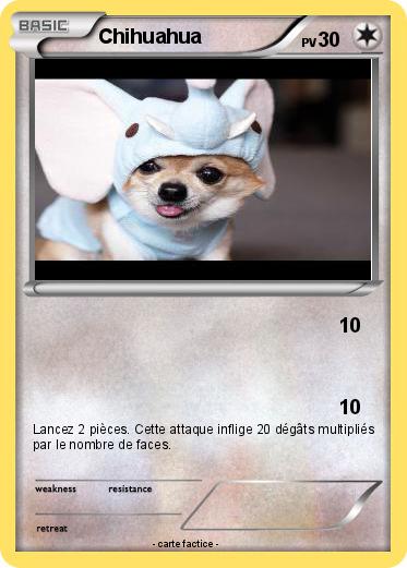 Pokemon Chihuahua
