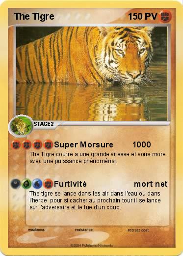Pokemon The Tigre