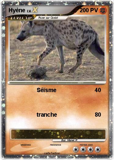 Pokemon Hyène