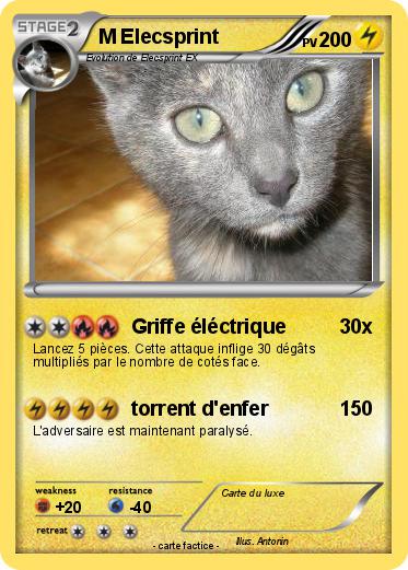 Pokemon M Elecsprint