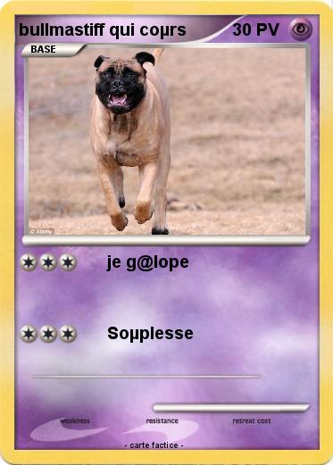 Pokemon bullmastiff qui coµrs