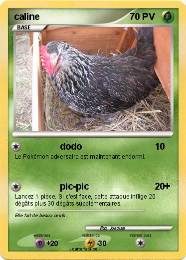 Pokemon caline