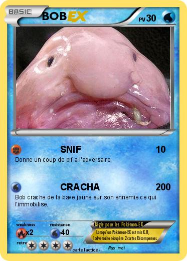 Pokemon BOB
