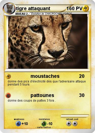 Pokemon tigre attaquant