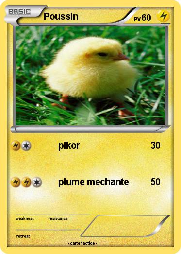 Pokemon Poussin
