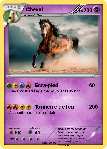 Pokemon Cheval