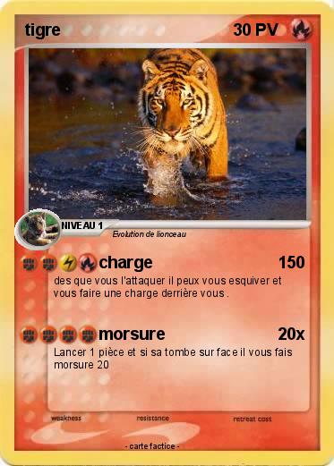 Pokemon tigre