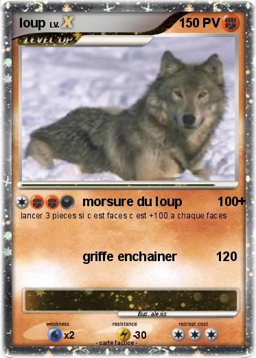 Pokemon loup