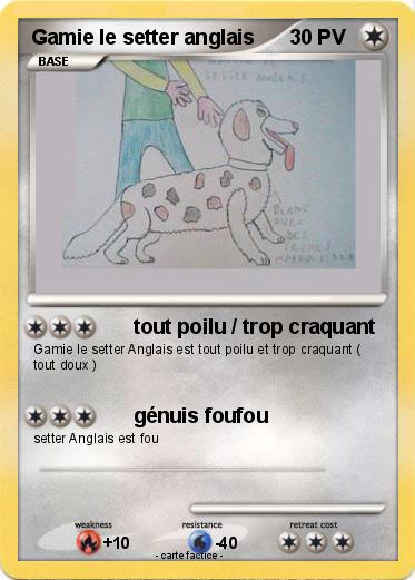 Pokemon Gamie le setter anglais