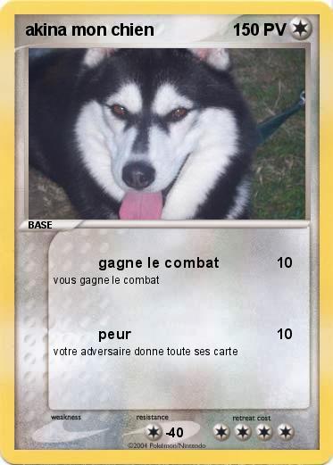 Pokemon akina mon chien