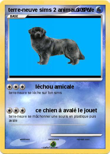 Pokemon terre-neuve sims 2 animaux & cie