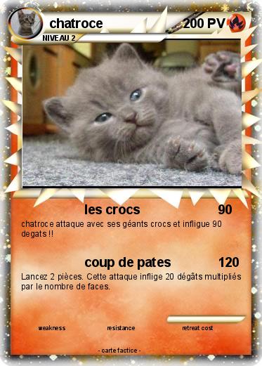 Pokemon chatroce