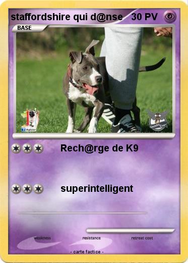 Pokemon staffordshire qui d@nse