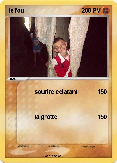 Pokemon le fou