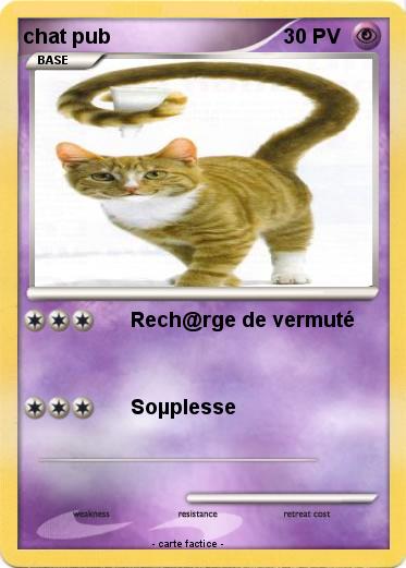 Pokemon chat pub