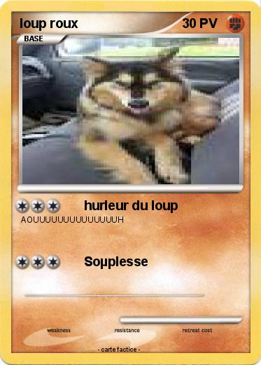 Pokemon loup roux