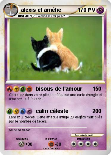 Pokemon alexis et amélie