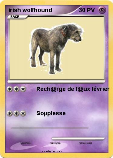 Pokemon irish wolfhound