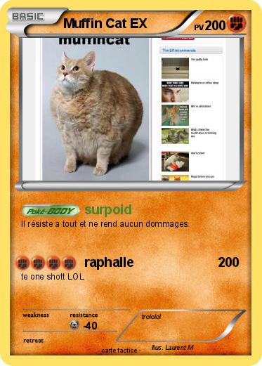 Pokemon Muffin Cat EX