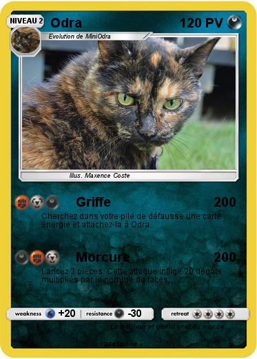 Pokemon Odra
