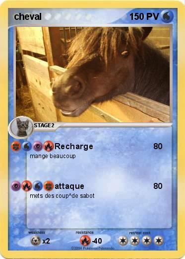 Pokemon cheval