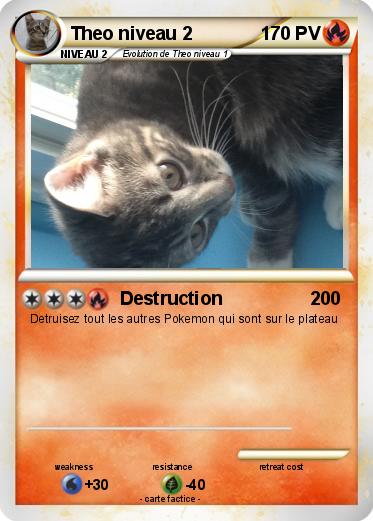 Pokemon Theo niveau 2