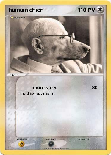 Pokemon humain chien