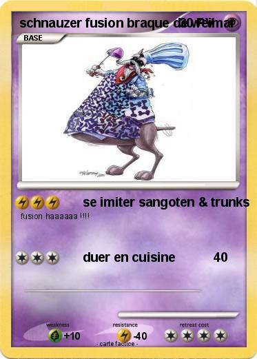 Pokemon schnauzer fusion braque de weimar