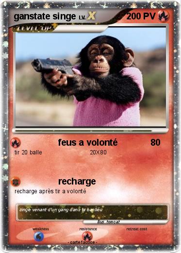 Pokemon ganstate singe