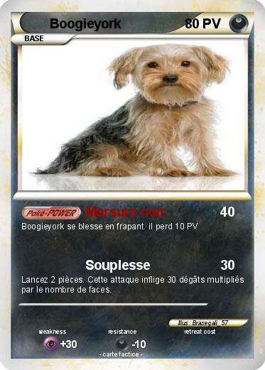 Pokemon Boogieyork
