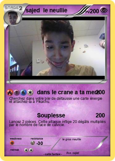 Pokemon sajed  le neullie