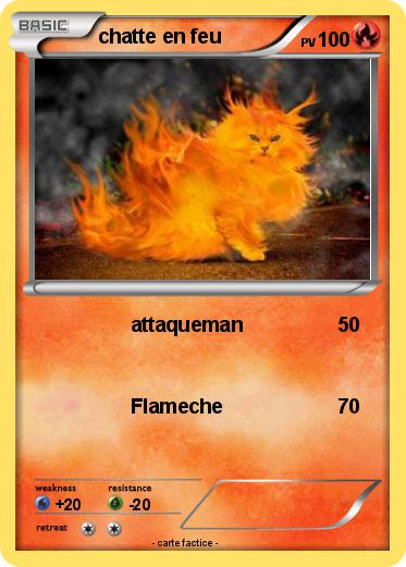 Pokemon chatte en feu