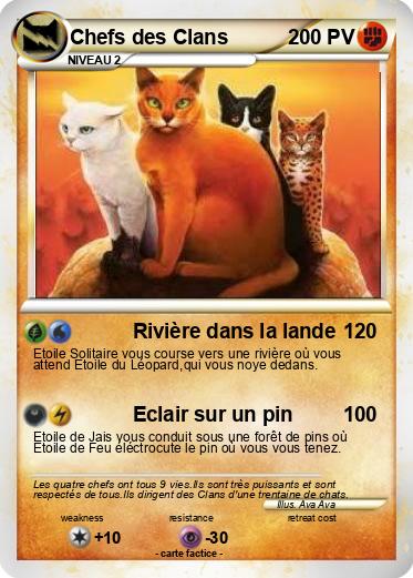 Pokemon Chefs des Clans