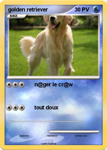 Pokemon golden retriever
