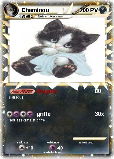 Pokemon Chaminou