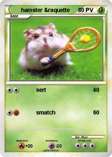 Pokemon hamster &raquette