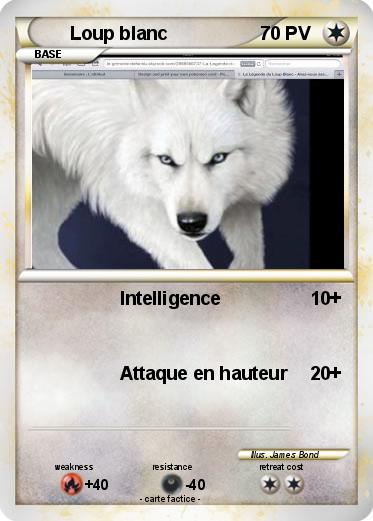 Pokemon Loup blanc