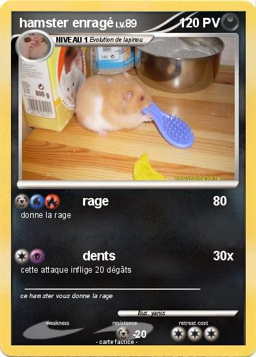 Pokemon hamster enragé