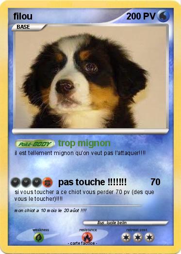Pokemon filou