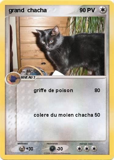 Pokemon grand  chacha