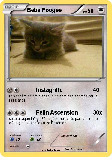 Pokemon Bébé Foogee
