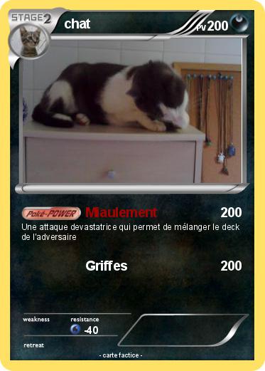 Pokemon chat