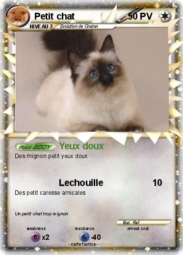 Pokemon Petit chat